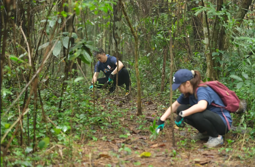 Tree Planting at La Mesa Nature Reserve